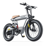 T20S EBIKE