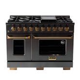 Kucht Gemstone Professional 48" 6.7 cu. ft. Natural Gas Range in Titanium Stainless Steel with Gold Accents - KEG483