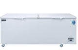 Chef AAA - 71" Chest Freezer With Solid Door - BT-620