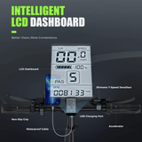 isinwheel D4 Fat Tire Folding Electric Bicycle 7 Speed 20" 500W Motor with Peak 750W 48V 15Ah Lithium Battery 20 MPH 43 Mile Range Black New Canada Only - D4-CANADA