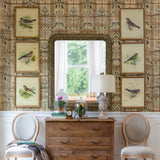 Park Hill Collection Southern Classic Vintage Bird Framed Prints, Set of 6 - EWA80978