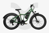 Fucare Taurus Electric Mountain Dirt Bike - TAURUS 25G-GY