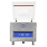 Globe GVP20 Vacuum Packaging Machine - 120V, 1PH - GLGVP20