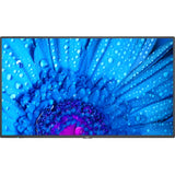 Sharp M431-2 43" UHD 4K HDR Commercial Monitor - m431-2