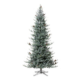 Park Hill Collection Tree Lot 9' Park Hill Slim Line Blue Spruce LED Lights - XPQ82166