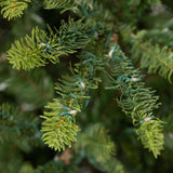 Park Hill Collection Tree Lot 5' Great Northern Spruce Pine Tree with Micro LED Lights - XPQ90662
