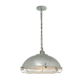 Davey Lighting Cargo Pendant - 1 Socket
