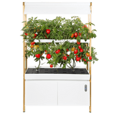 Rise Roma Garden - Base - Backyard Provider