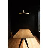 Resident Tri Pendant - TRI001BR