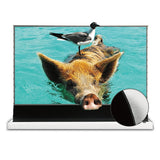 VIVIDSTORM S PRO Motorized Tension Floor Rising UST ALR Projector Screen