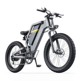 T24 EBIKE