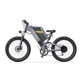 T24 EBIKE