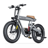 T20S EBIKE