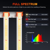 Spider Farmer® 4’x4’x6.5′ Complete Grow Tent Kit丨G5000 Full Spectrum LED Grow Light丨6” Clip Fan