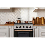 Kucht Signature 36 In. 5.2 cu ft. Natural Gas Range with Black Door and Gold Accents - KNG361-K-GOLD
