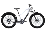Blix Bike Ultra Fat Tire eBike - 01-0011-001-010