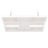 Horticulture Lighting Group HLG 700 Rspec FR