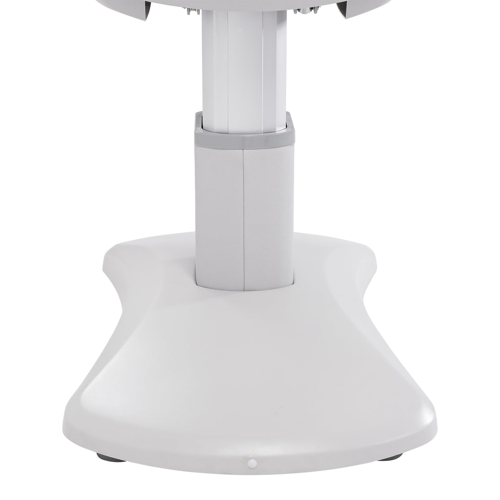 Silver Fox Professional Facial Chair / Massage Table - 2222BN