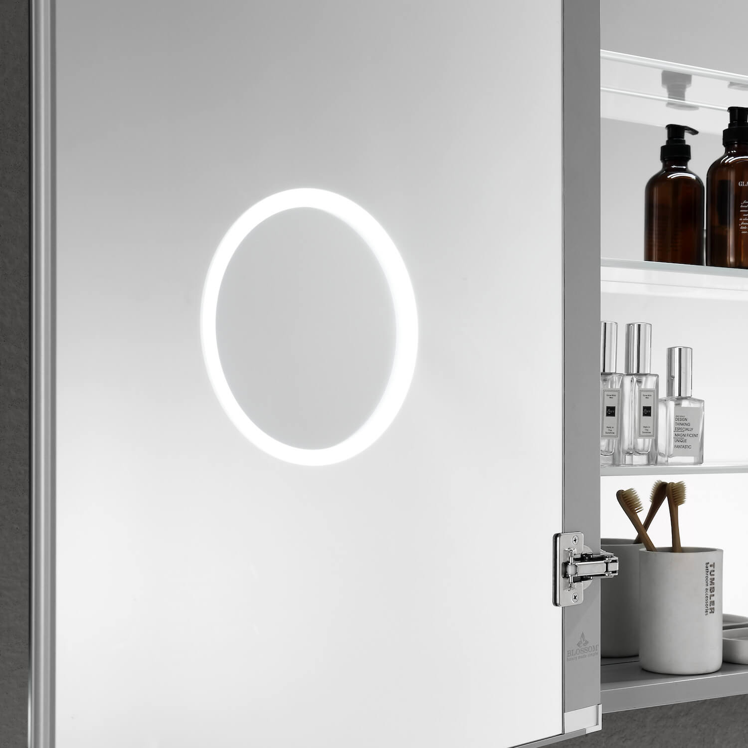 Blossom Asta – 24 Inches LED Medicine Cabinet - MCL2 2432L - Backyard Provider
