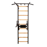 BenchK Swedish Ladder w/ Dip Bar - Black