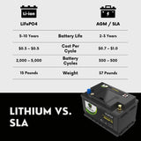 PowerTex Batteries BCI Group T6 / L2 Lithium LiFePO4 Automotive Battery - PTLGT6