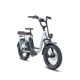 Rad Power Bikes RadRunner Plus, Top Speed 20mph - 106-00007