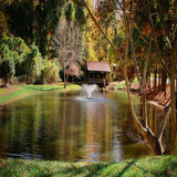Scott Aerator DA-20 Display Fountain Aerator 1/2HP