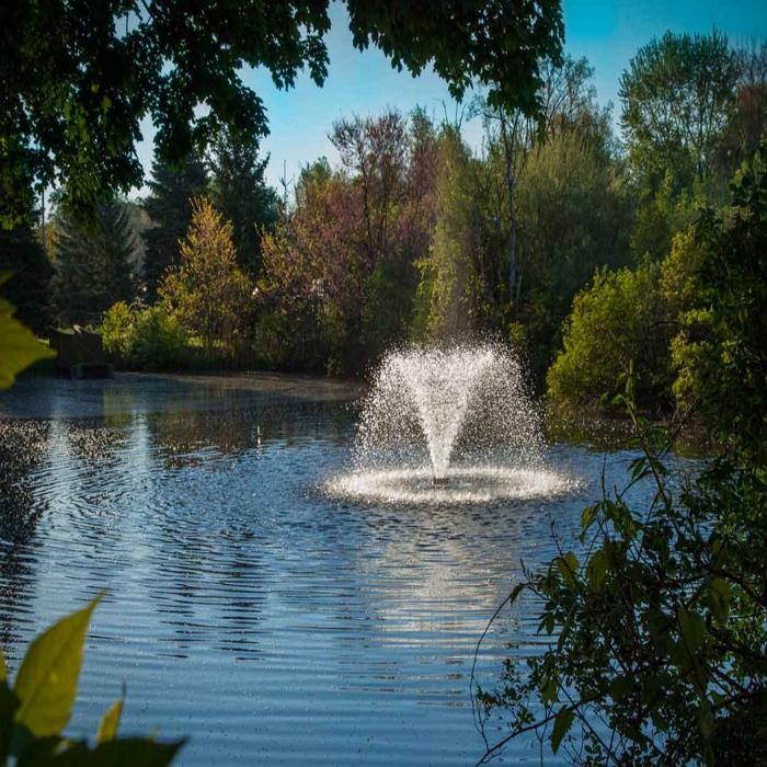 Scott Aerator DA-20 Display Fountain Aerator 1/2HP
