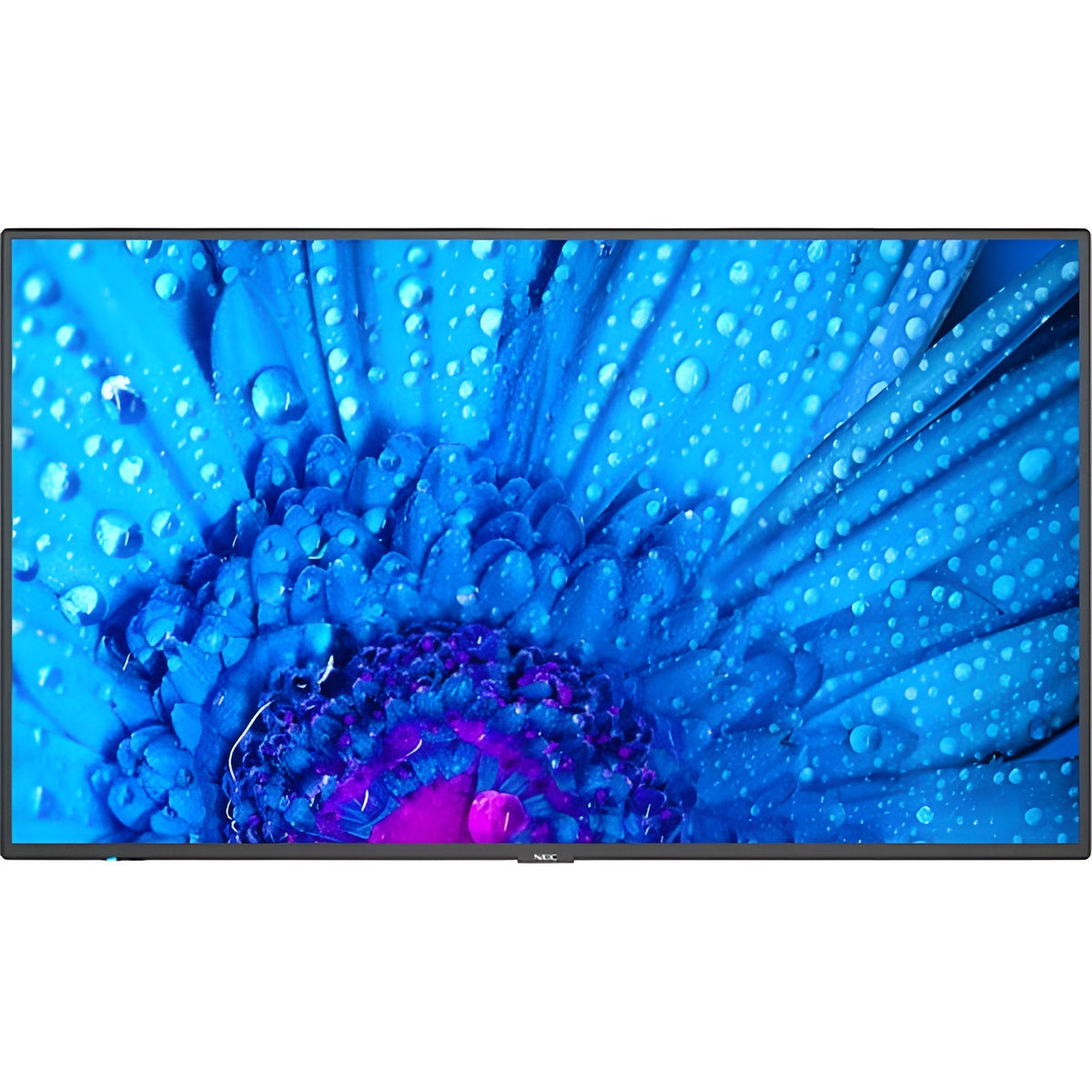 Sharp M431-2 43" UHD 4K HDR Commercial Monitor - m431-2