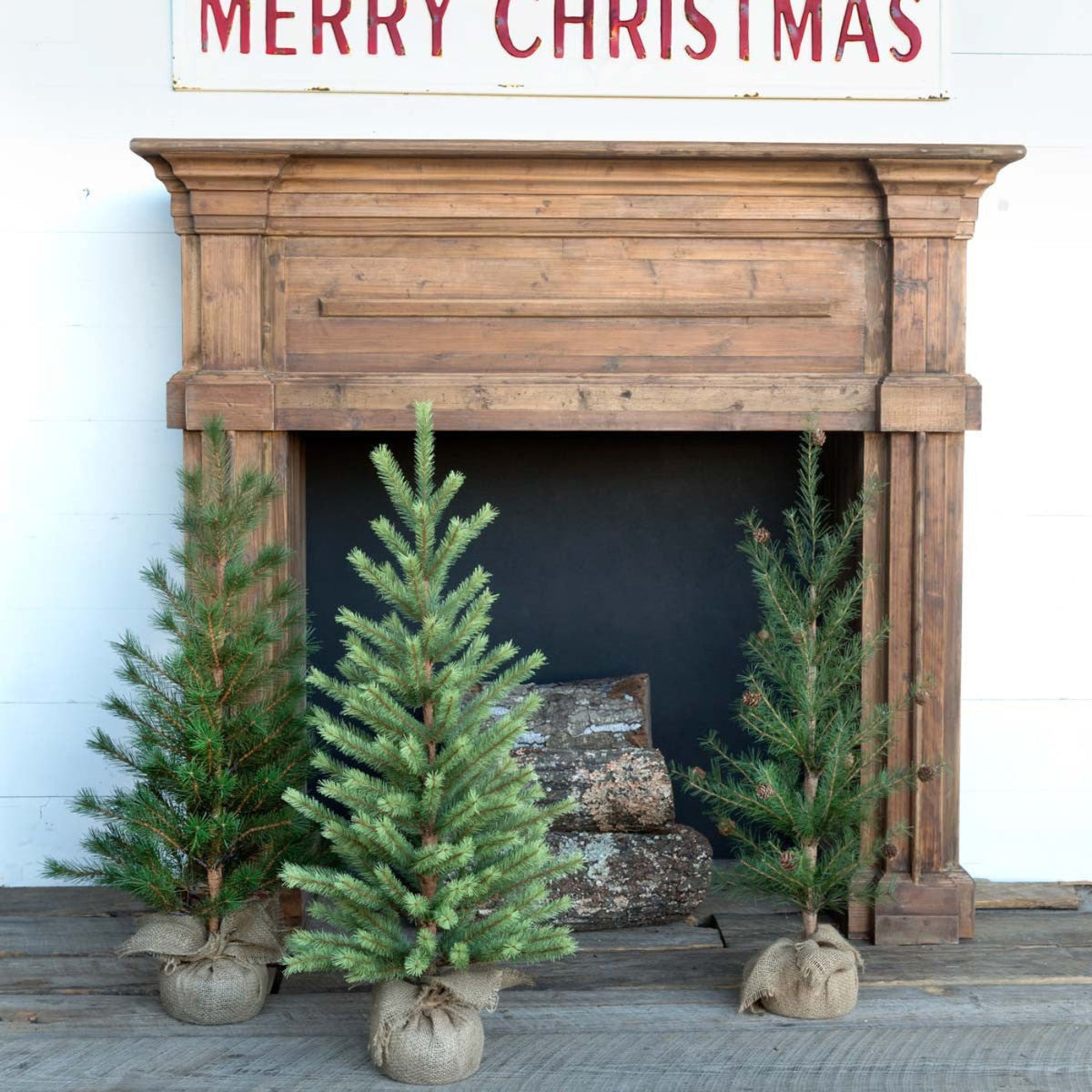 Park Hill Collection Tree Lot Second-Year Faux Seedling Pine Trees, Set of 3, Assorted Styles  - XPQ80211