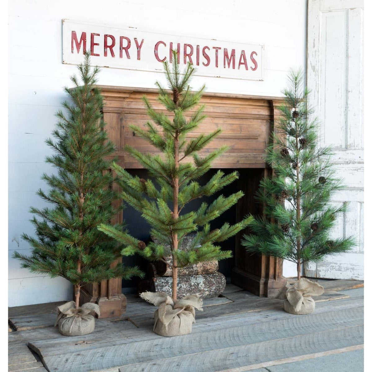 Park Hill Collection Tree Lot Third-Year Faux Seedling Trees, Set of 3, Assorted Styles -  XPQ80212