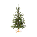 Park Hill Collection Tree Lot 5' Great Northern Spruce Pine Tree with Micro LED Lights  - XPQ90662