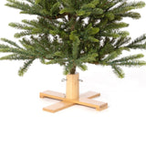 Park Hill Collection Tree Lot 5' Great Northern Spruce Pine Tree with Micro LED Lights  - XPQ90662