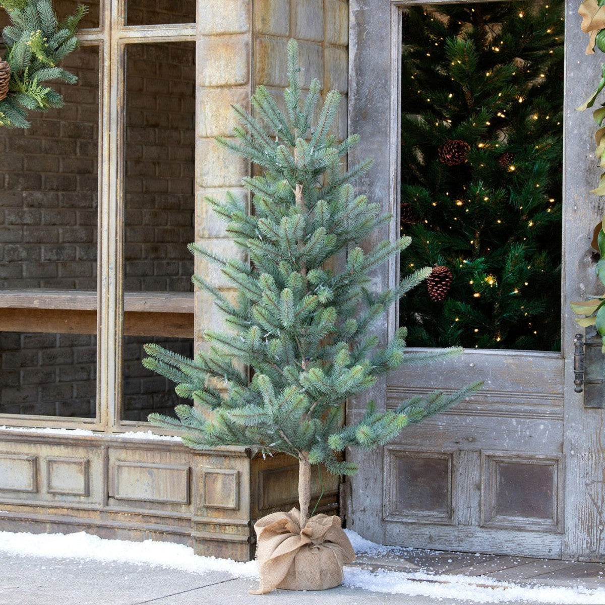 Park Hill Collection Tree Lot 60" Burlap Wrapped Blue Spruce Pine Tree Seedling with LED Battery Lights -  XPQ90689