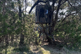 Banks Outdoors The Stump 4 Limited Edition 360° - Whitetail Properties Pro Hunter Phantom - ST4WP360PH