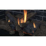 Superior 45" DRT2045 Traditional Direct Vent Gas Fireplace - DRT2045DMN-C - Backyard Provider