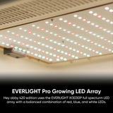 Hey abby Automated Grow Box 420 Edition - HEY-420-3