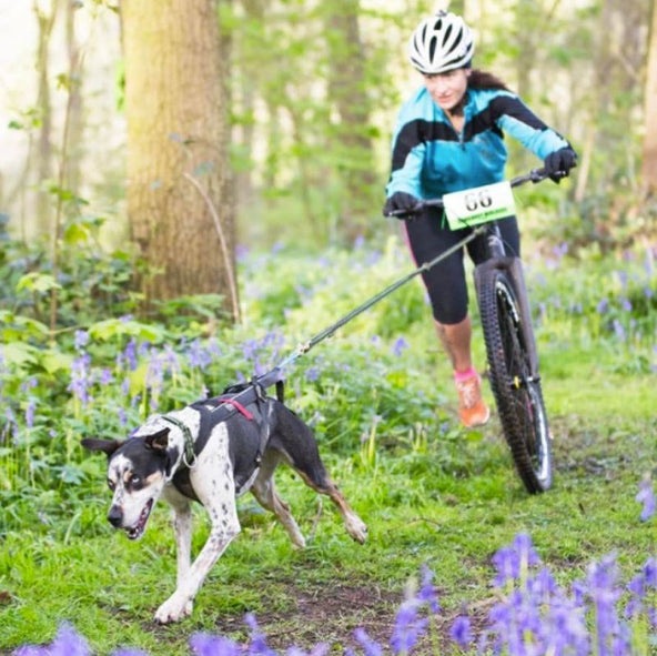Kickbike America Cross 29er Adult Body-Powered Kick Dog Scooter