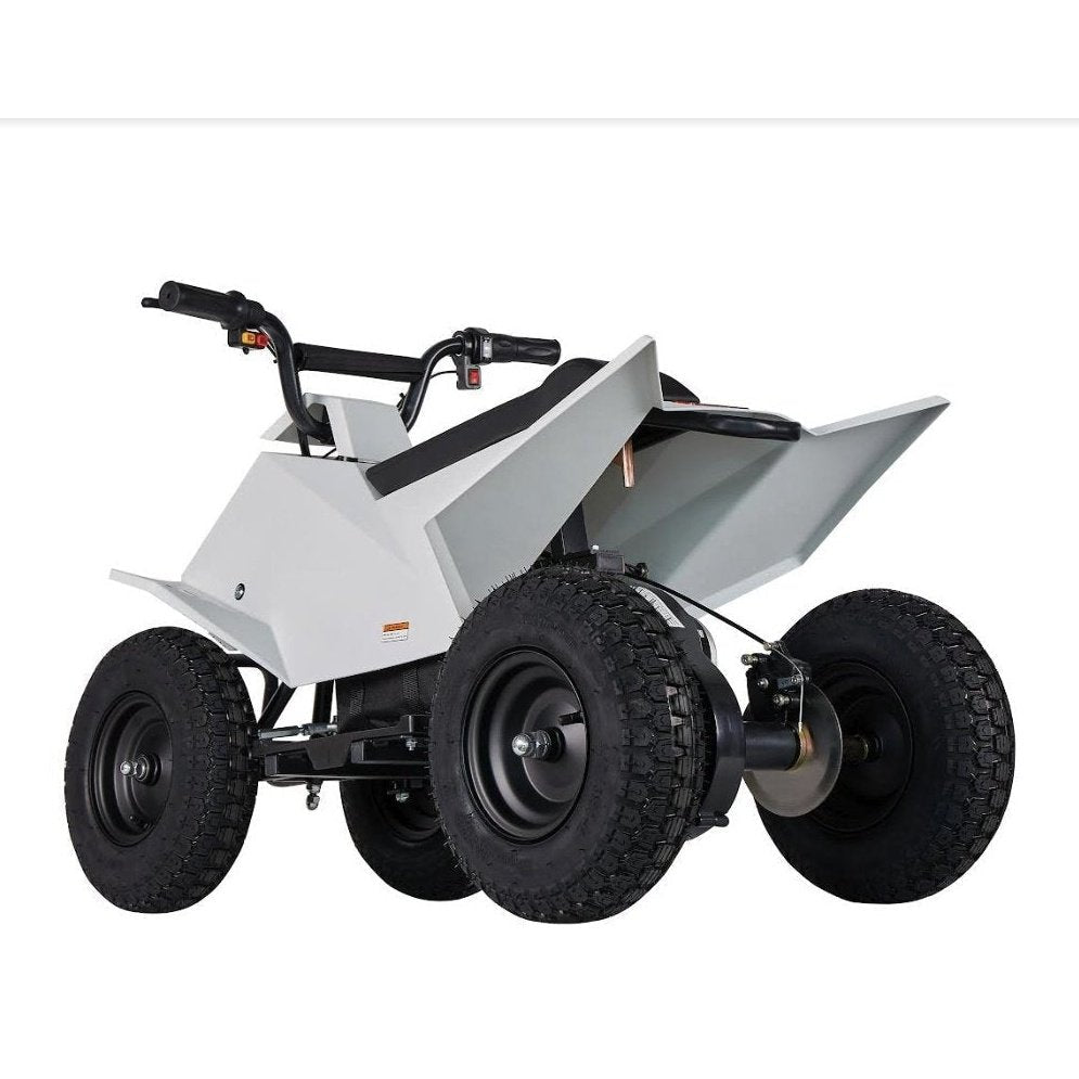 Pure Fun World PFW XW-EA14 350W Mini Quad Kids Electric All-Terrain Vehicle ATV
