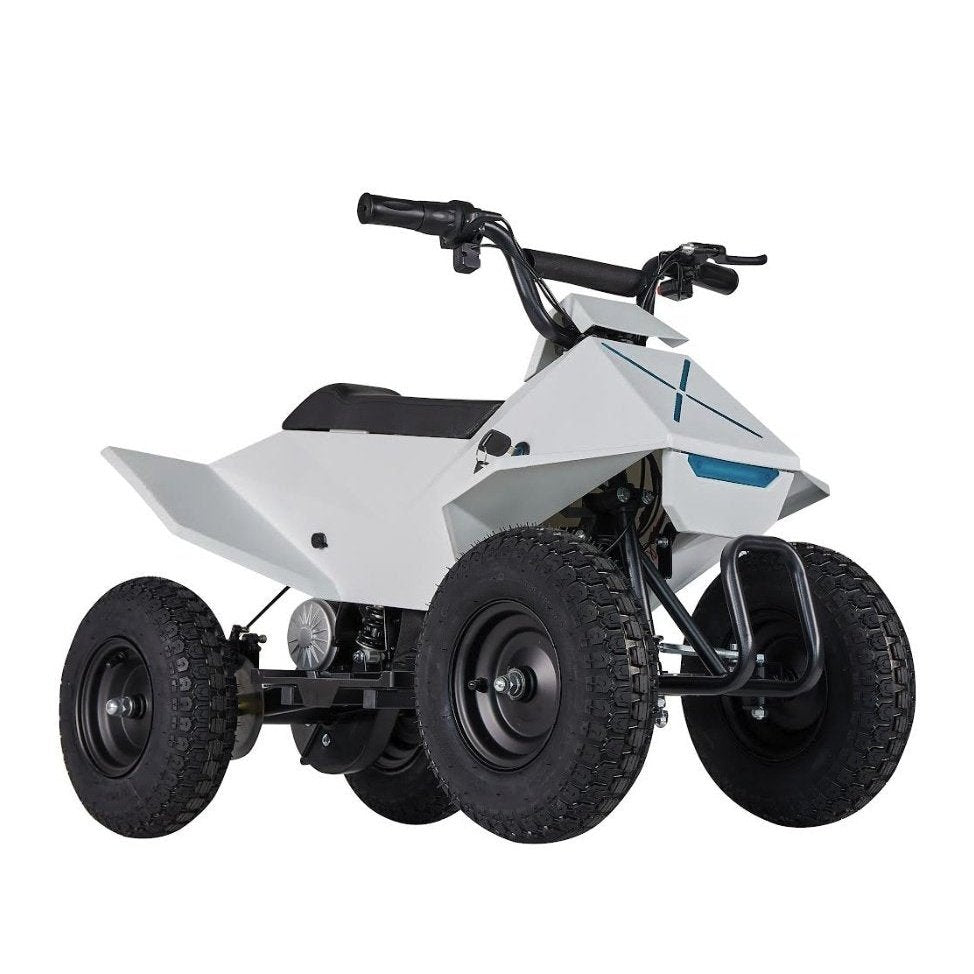 Pure Fun World PFW XW-EA14 350W Mini Quad Kids Electric All-Terrain Vehicle ATV