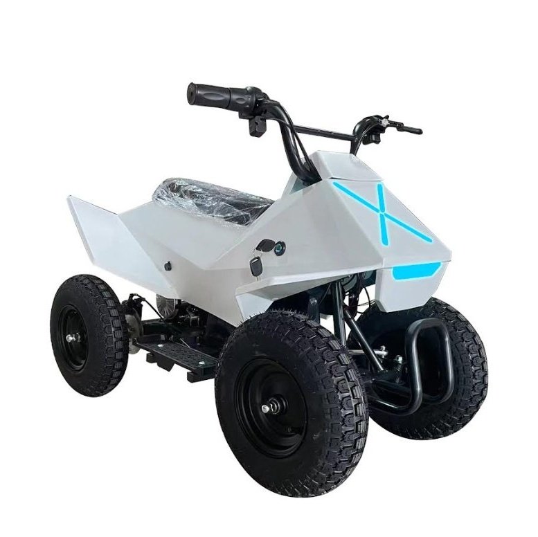 Pure Fun World PFW XW-EA14 350W Mini Quad Kids Electric All-Terrain Vehicle ATV