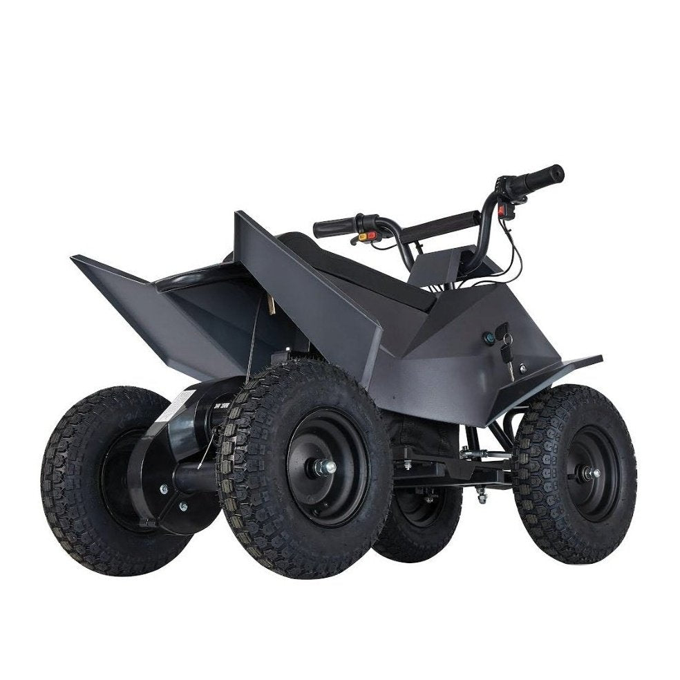 Pure Fun World PFW XW-EA14 350W Mini Quad Kids Electric All-Terrain Vehicle ATV