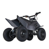 Pure Fun World PFW XW-EA14 350W Mini Quad Kids Electric All-Terrain Vehicle ATV