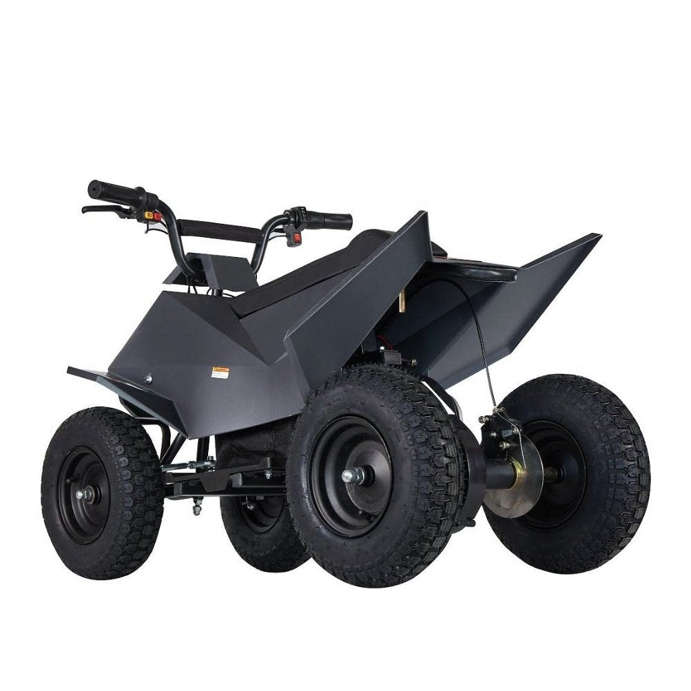 Pure Fun World PFW XW-EA14 350W Mini Quad Kids Electric All-Terrain Vehicle ATV