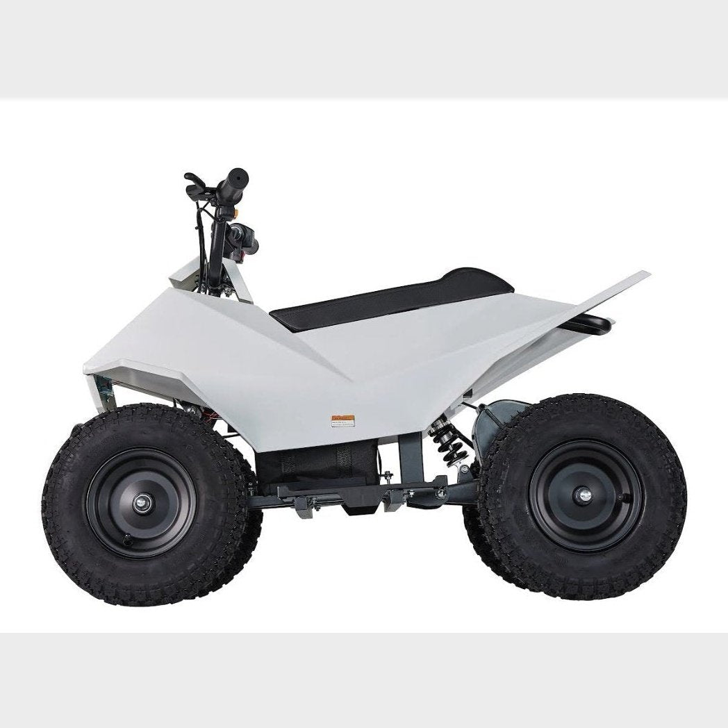 Pure Fun World PFW XW-EA14 350W Mini Quad Kids Electric All-Terrain Vehicle ATV