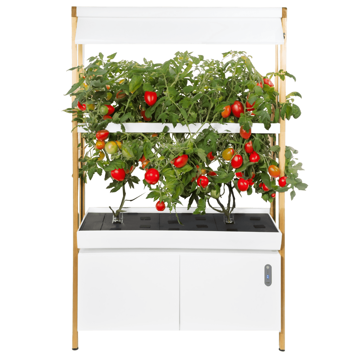Rise Roma Garden - Base - Backyard Provider