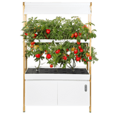 Rise Roma Garden - Base - Backyard Provider