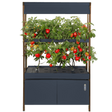 Rise Roma Garden - Base - Backyard Provider