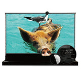 VIVIDSTORM S PRO P Motorized Tension Floor Rising UST ALR Perforated Projector Screen